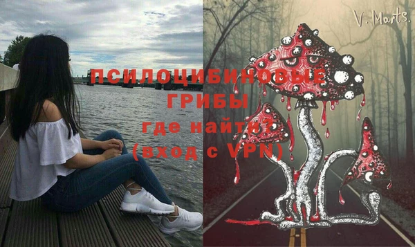 прущие крисы Арсеньев