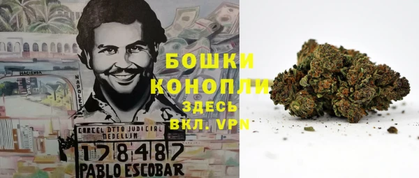 прущие крисы Арсеньев