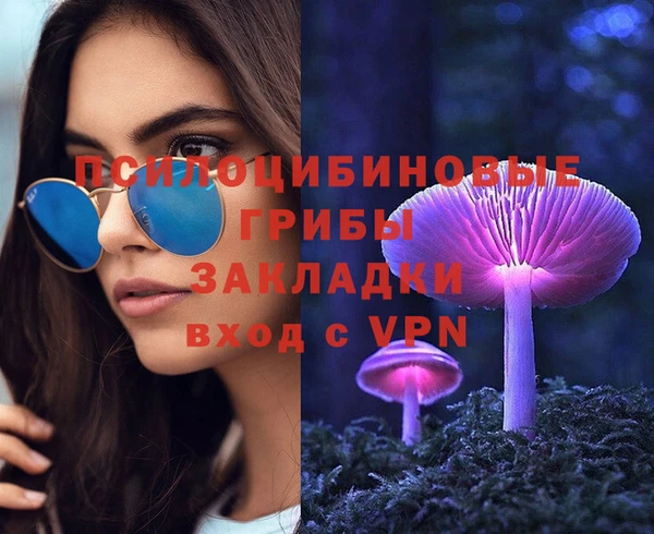 а пвп мука Богданович